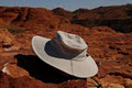Neck Tie Coolers and Cool Hats image 4