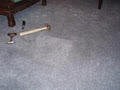 Oz Carpet Repairs image 4