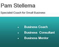 Pam Stellema Business Coach and Mentor image 2
