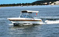 Pelican Boat Hire image 3