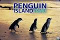 Penguin Island Tours image 2