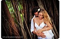 Port Douglas Wedding Photography image 2