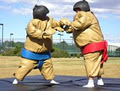 Ready Steady Sumo image 1