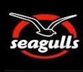 Seagulls Club image 4