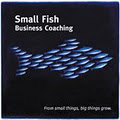 Small Fish Business Coaching image 2