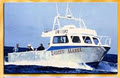South West Rocks Trial Bay Fishing Charters logo