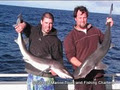 Southerly Marine Tours and Fishing Charters image 4