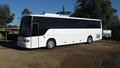 Spencer Gulf Coaches image 1