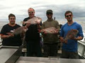 St.Kilda Fishing Charters image 6