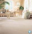 Straight-Up Carpet Cleaning image 2