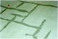 Suncoast Waterproofing & Floor Treatments image 4
