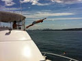 Sydney Harbour Exclusive image 5