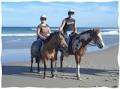 Tassiriki Ranch Horse Riding & Holiday Cabins image 5