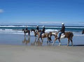 Tassiriki Ranch Horse Riding & Holiday Cabins image 1
