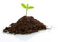 The Green Life Soil Company image 2