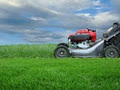 Twin City Mowing Service image 4