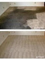 United Carpet Cleaning image 2