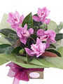 Virginia Mary Florist - Bendigo Flowers image 4