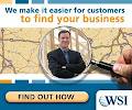 WSI - Web Design & Consulting logo
