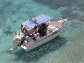 What Charter Boat Fishing Charters image 2