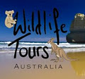 Wildlife Tours Australia logo