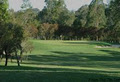 Wingham Golf Club logo