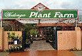 Wodonga Plant Farm image 3
