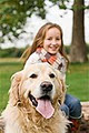 A Dogs Life Home Dog Training image 2