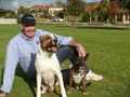 A Dogs Life Home Dog Training image 1