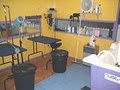 ACT Dog World - Canberra's Dog Grooming Specialists image 2