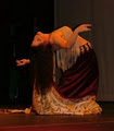 Academy of Middle Eastern Dance (Wellington Point - Saghirah) image 3