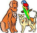 Adore All Pet Care Service image 5