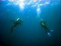 All About Scuba image 5