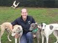 All Breeds Boarding Kennels and Cattery image 4