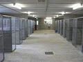 All Breeds Boarding Kennels and Cattery image 5