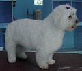 Angela's Professional All Breeds Dog Grooming image 3