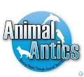 Animal Antics logo