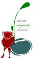 Animal vegetable mineral image 1