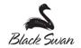 Black Swan Painting Services Perth logo