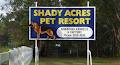 Bluemax Kennels / Shady Acres Pet Resort image 5
