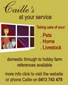 Caille's At Your Service logo
