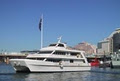 Champagne Harbour Cruises & Boat Hire Sydney image 6