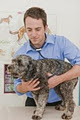 Cheltenham Veterinary Clinic image 3