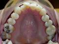 Chisholm Orthodontics image 2