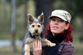 Clever Canines Home Dog Training image 1