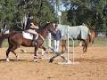 Cooroy Horse and Pony Club image 4