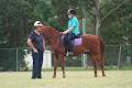 Cooroy Horse and Pony Club image 6