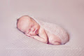 Danielle Stahl Baby Portraiture image 5