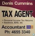Denis Cummins Public Accountant & Tax Agent logo