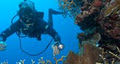 Dive Centre Bondi image 4